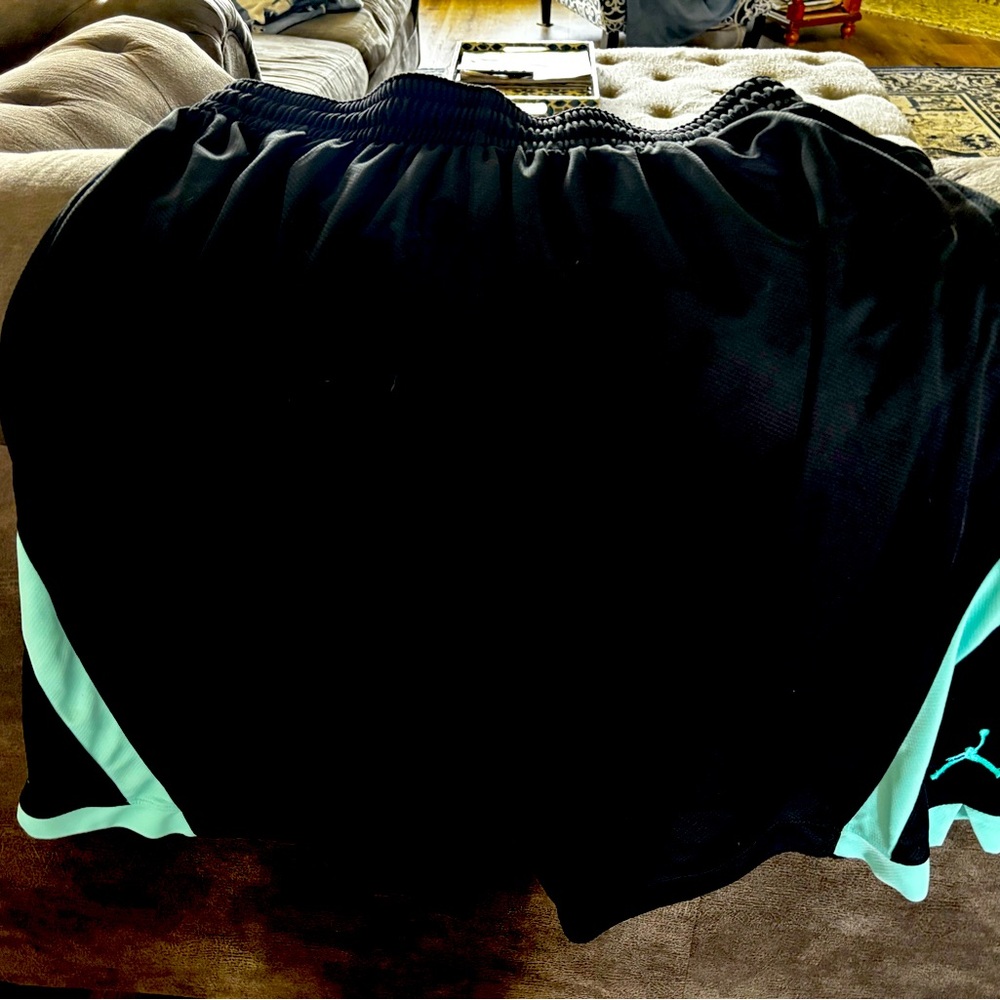 Nike jordan basketball shorts. Size 2xl
